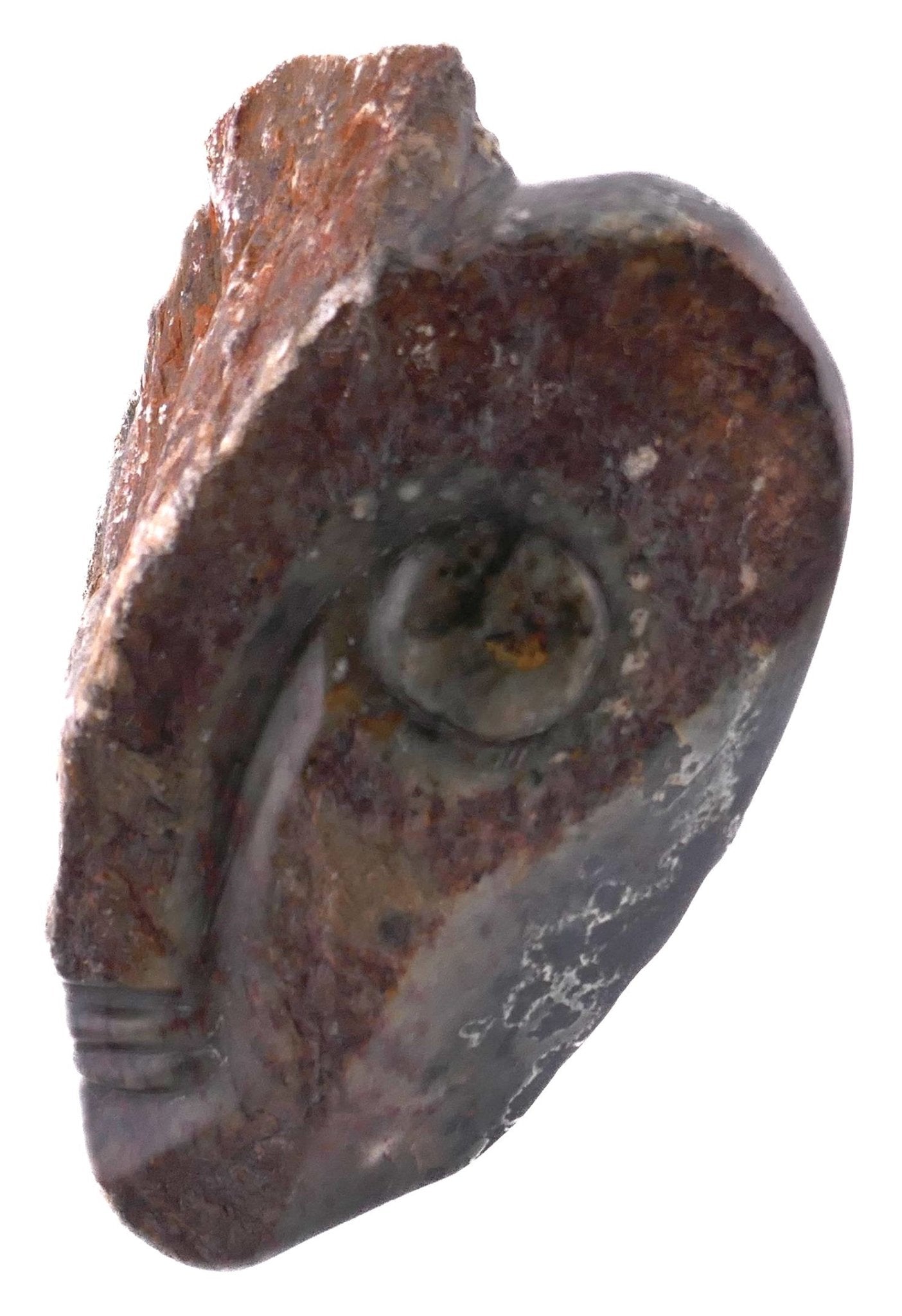 Abstract Face African Art Stone Sculpture // 16 cm, 2kg by Zimbabwe Shona Artists // with Storycard - FriendlyTradingCo