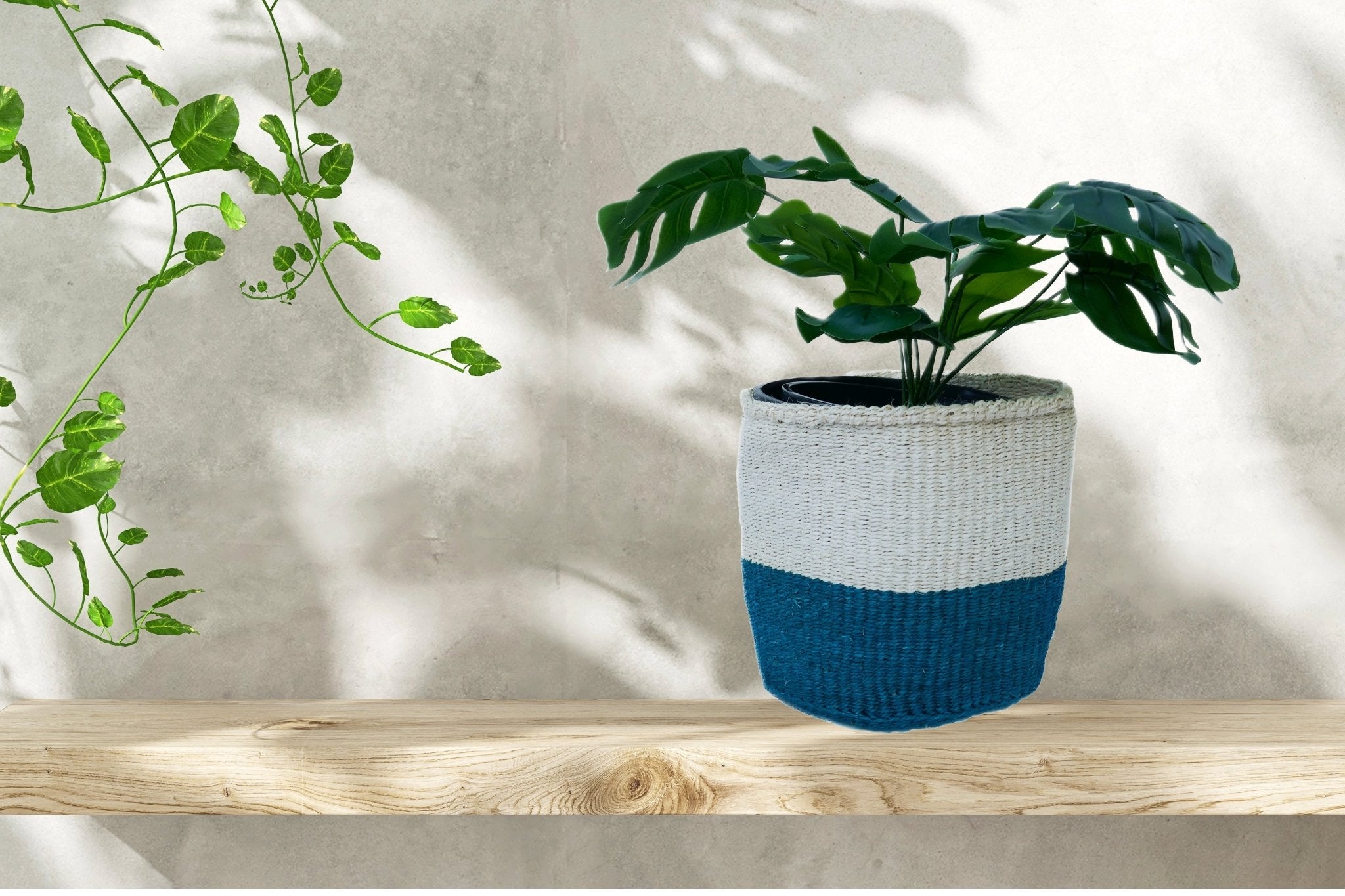 African Plant / Storage Basket / Kiondo Woven Sisal Planter / 23 cm / 9 inch wide / Blue naturals - FriendlyTradingCo