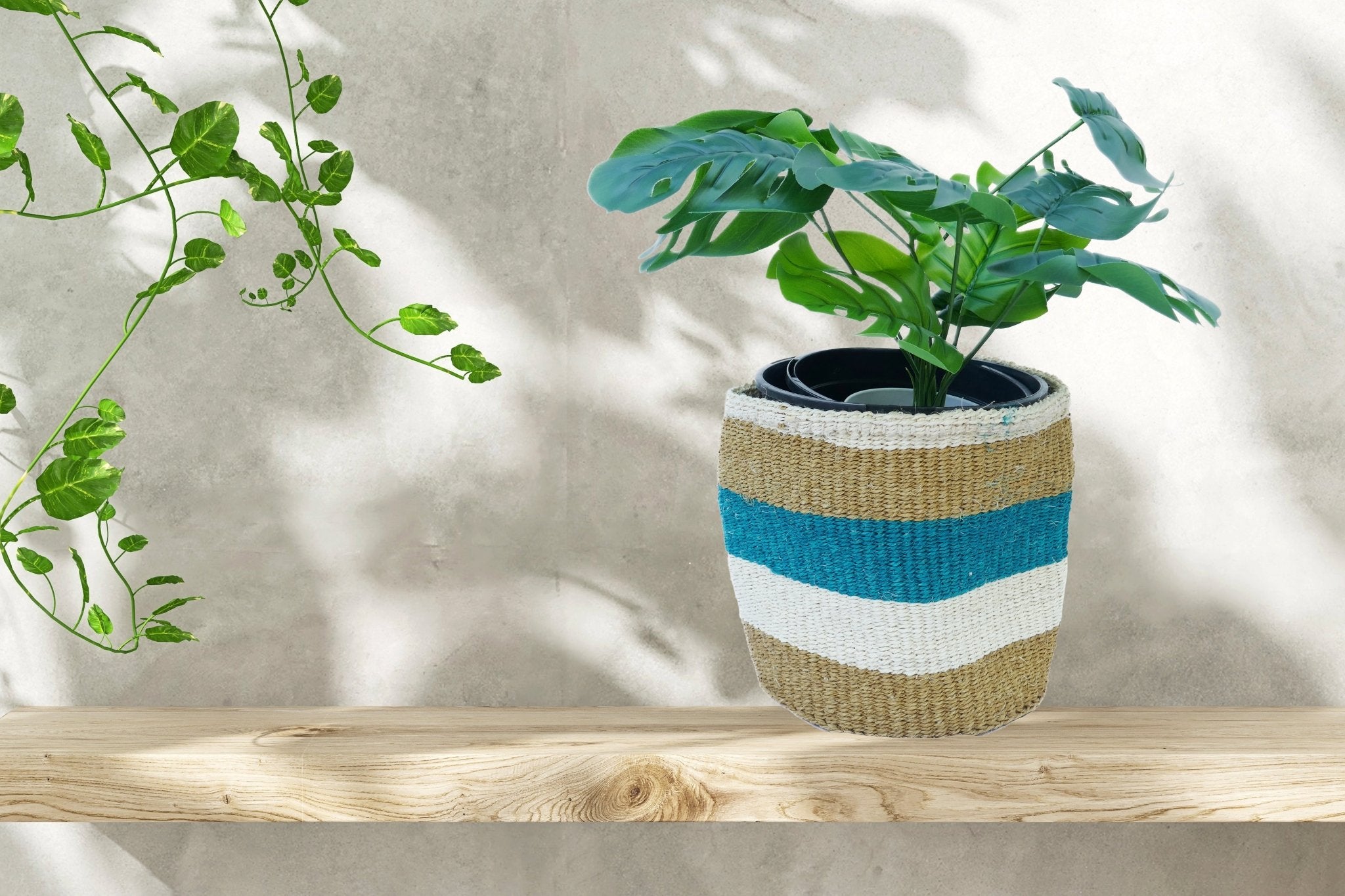 African Plant / Storage Basket / Kiondo Woven Sisal Planter / 23 cm / 9 inch wide / Blue naturals - FriendlyTradingCo