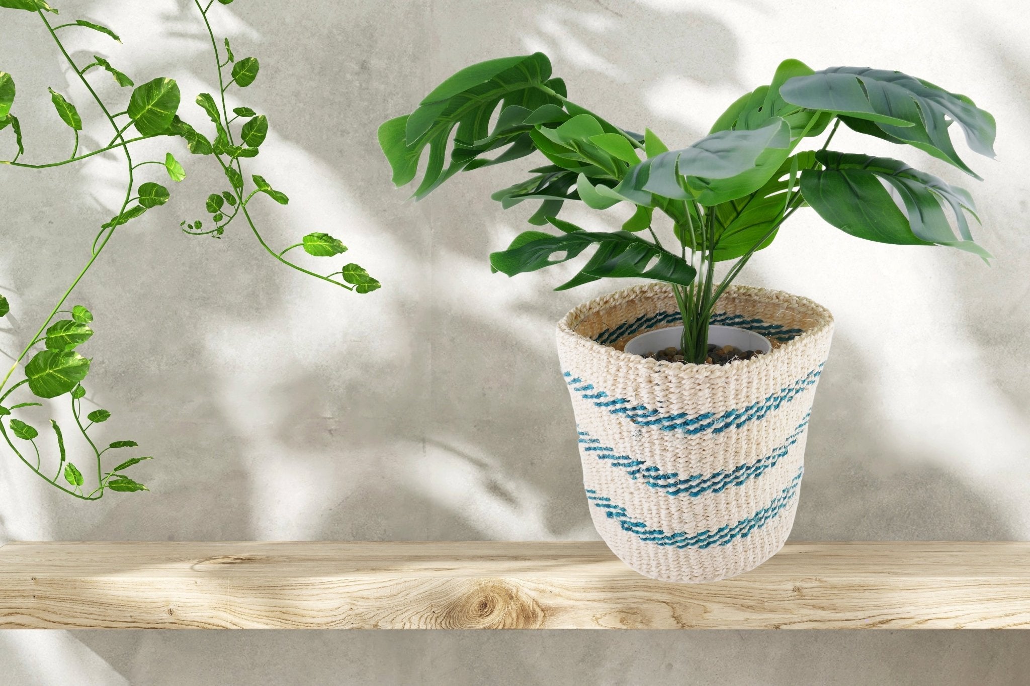 African Plant / Storage Basket / Kiondo Woven Sisal Planter / 23 cm / 9 inch wide / Blue naturals - FriendlyTradingCo