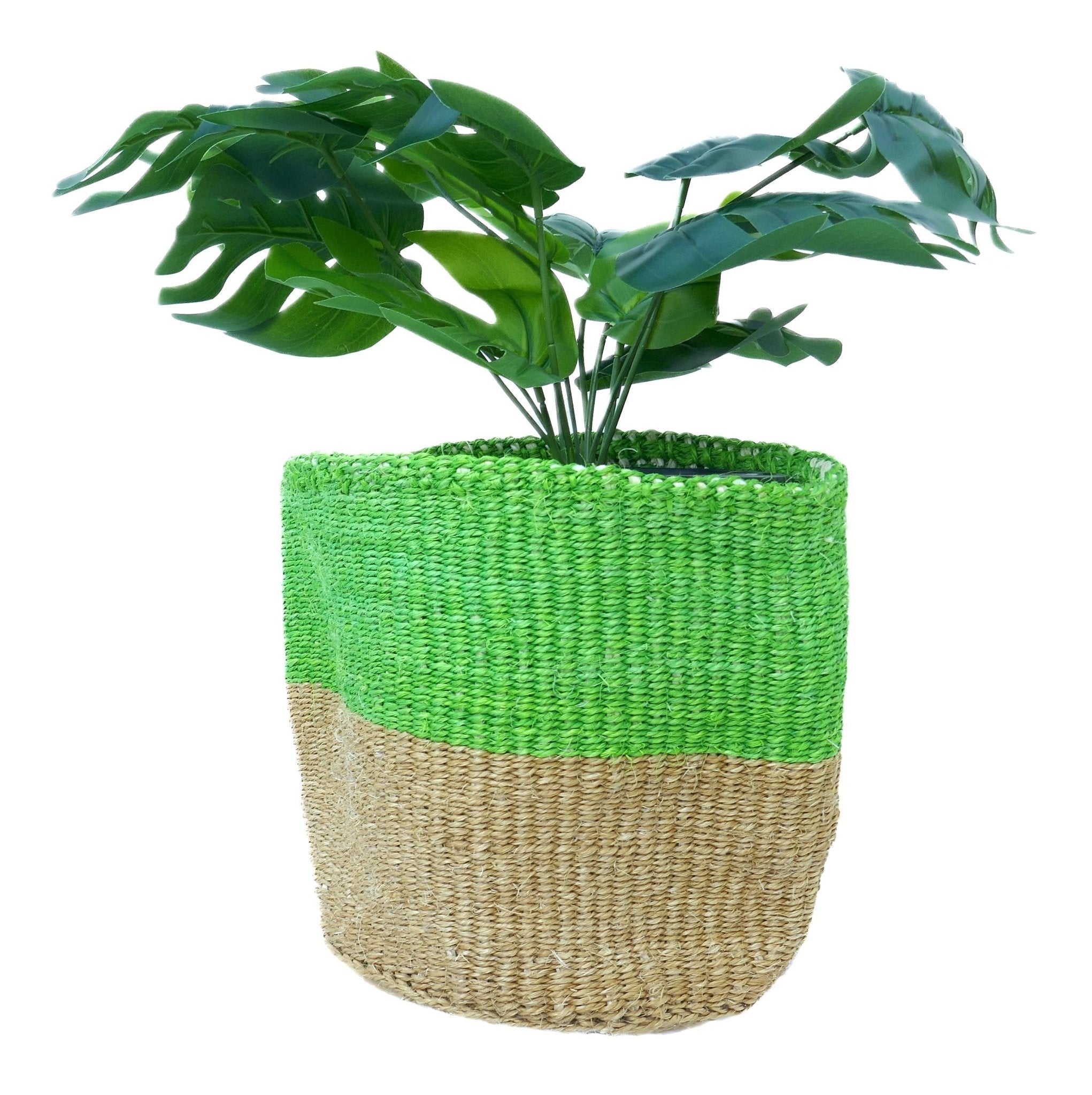 African Plant / Storage Basket / Kiondo Woven Sisal Planter / 23 cm / 9 inch wide / Greens - FriendlyTradingCo
