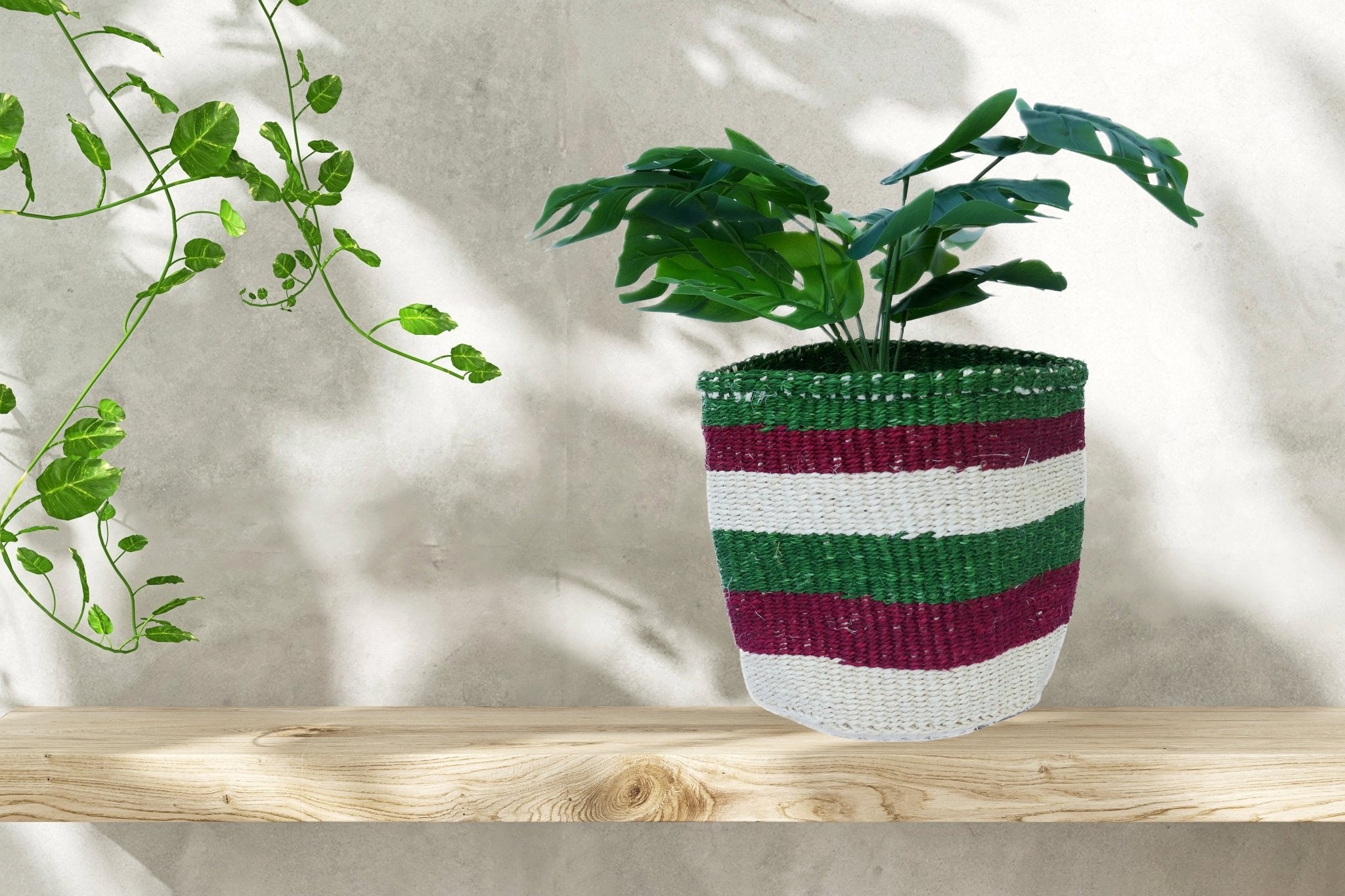 African Plant / Storage Basket / Kiondo Woven Sisal Planter / 23 cm / 9 inch wide / Greens - FriendlyTradingCo