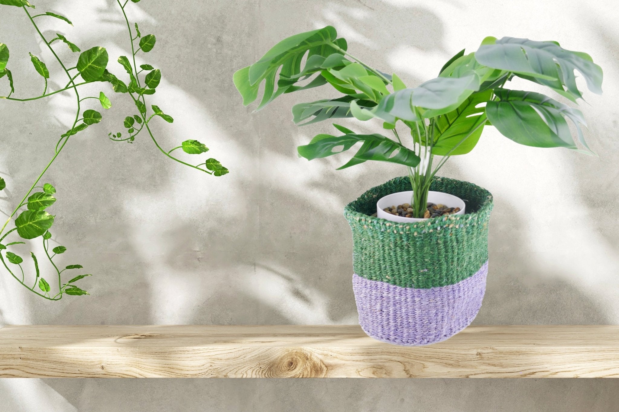 African Plant / Storage Basket / Kiondo Woven Sisal Planter / 23 cm / 9 inch wide / Greens - FriendlyTradingCo