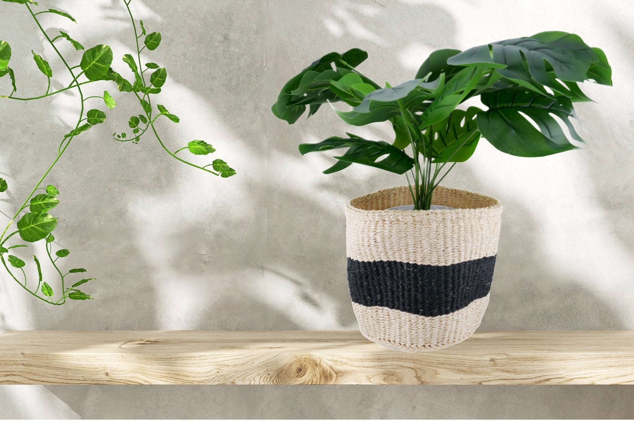 African Plant / Storage Basket / Kiondo Woven Sisal Planter / 23 cm / 9 inch wide / Naturals and black - FriendlyTradingCo