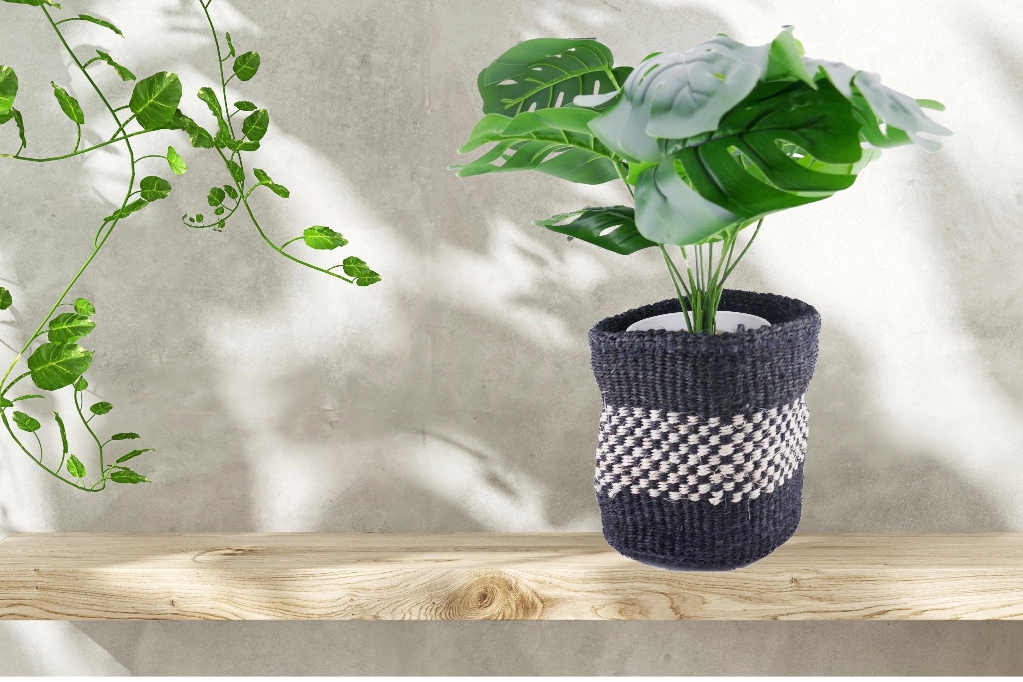 African Plant / Storage Basket / Kiondo Woven Sisal Planter / 23 cm / 9 inch wide / Naturals and black - FriendlyTradingCo