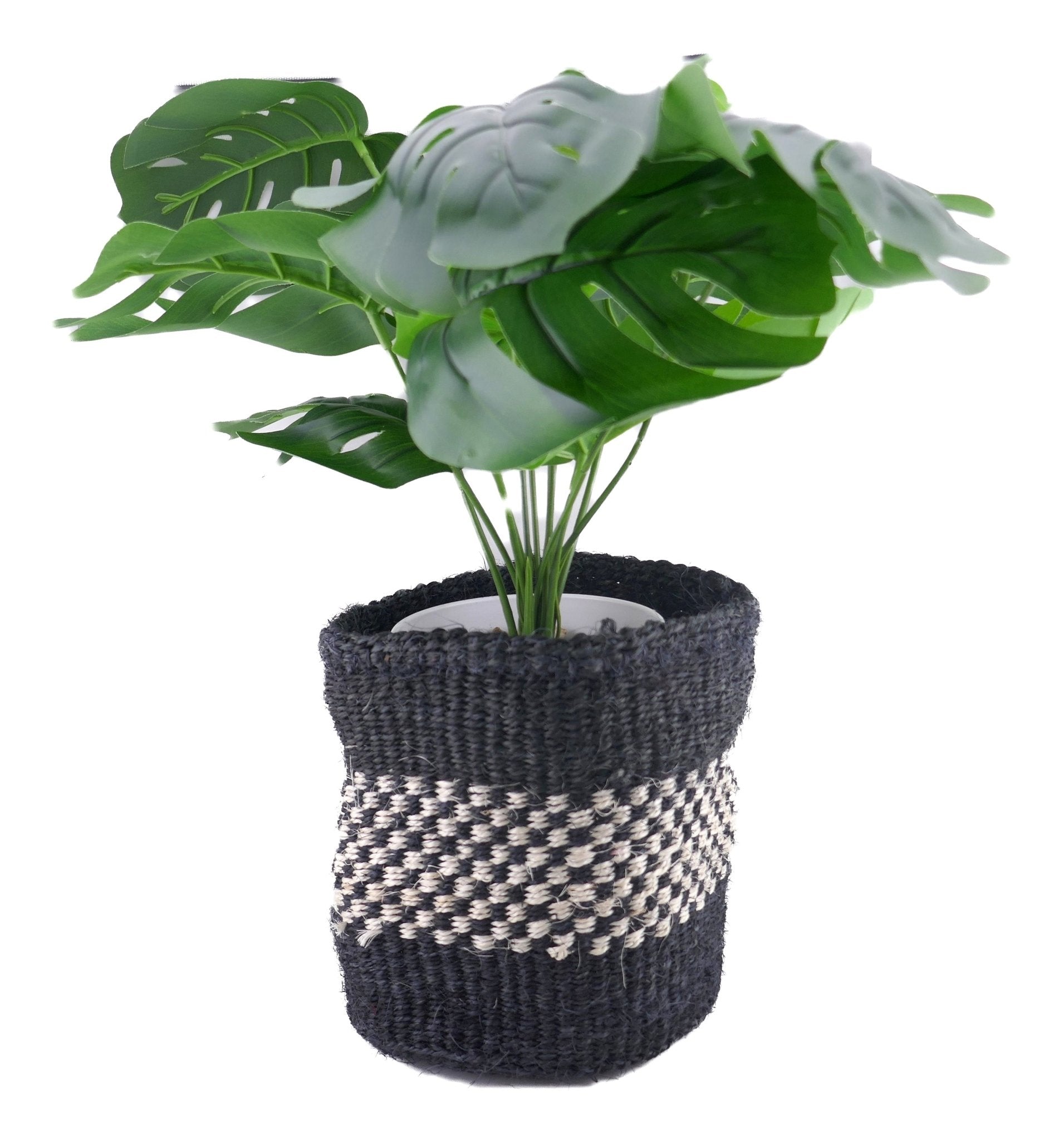 African Plant / Storage Basket / Kiondo Woven Sisal Planter / 23 cm / 9 inch wide / Naturals and black - FriendlyTradingCo