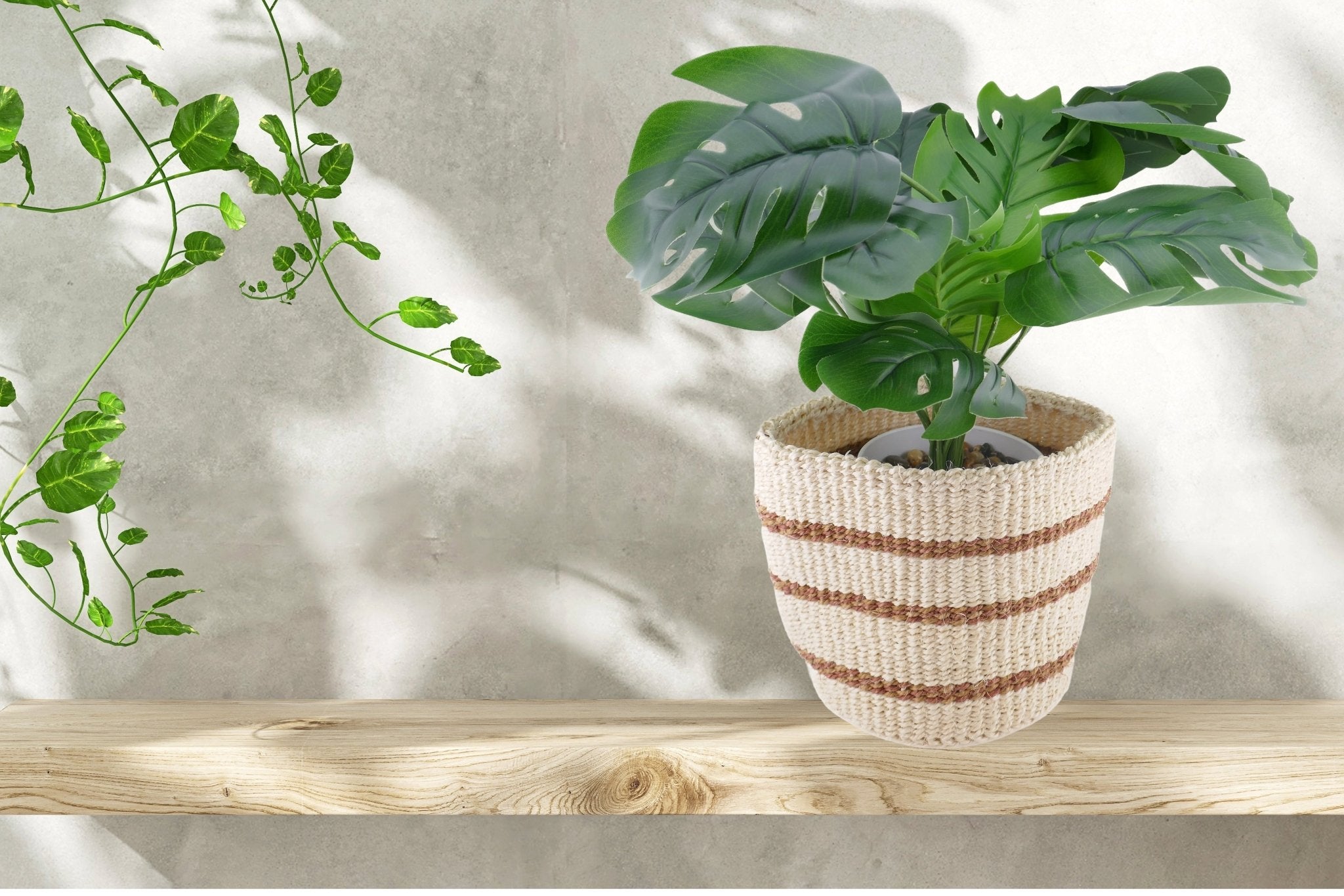 African Plant / Storage Basket / Kiondo Woven Sisal Planter / 23 cm / 9 inch wide / Naturals and browns - FriendlyTradingCo