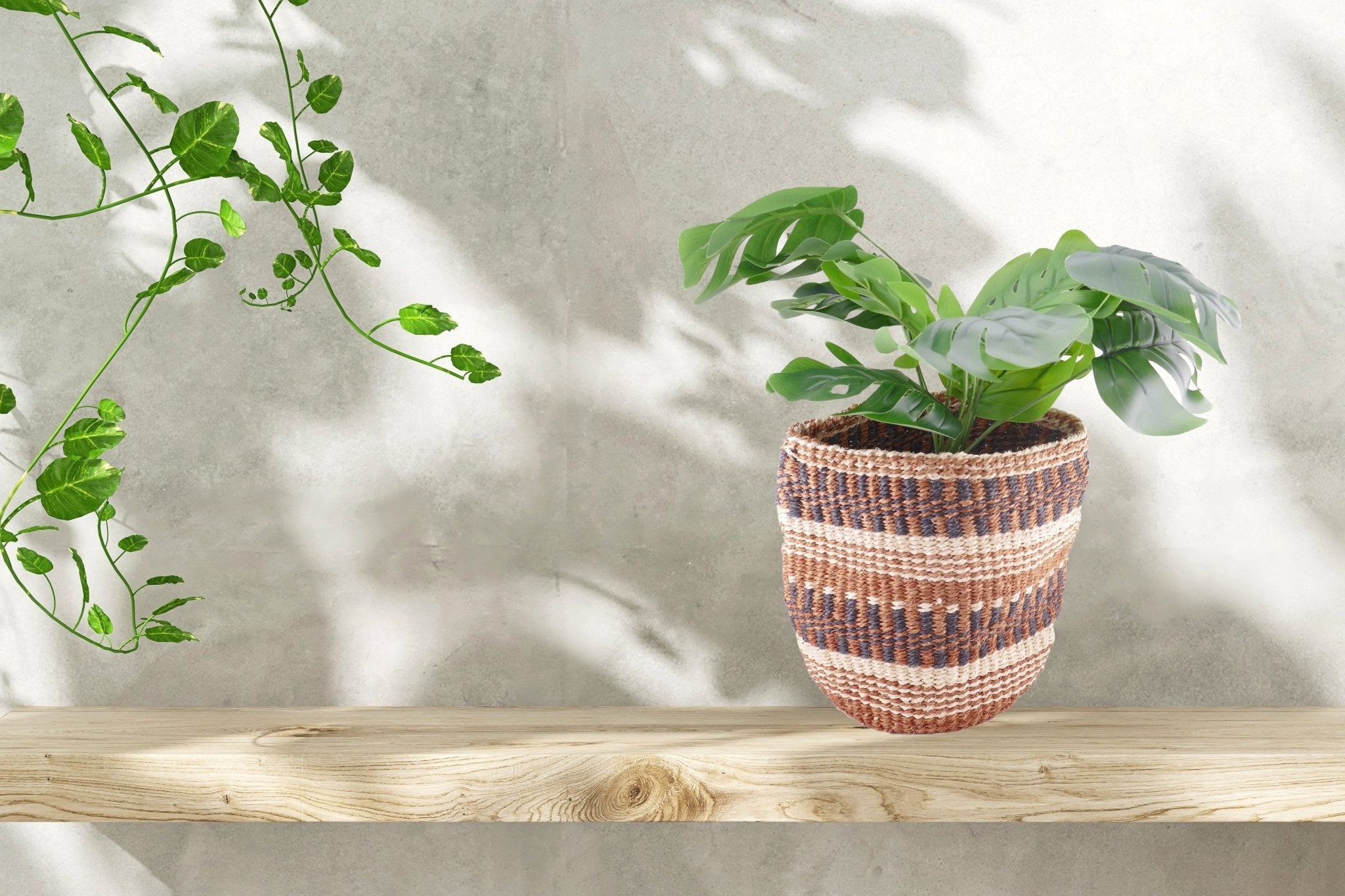 African Plant / Storage Basket / Kiondo Woven Sisal Planter / 23 cm / 9 inch wide / Naturals and browns - FriendlyTradingCo