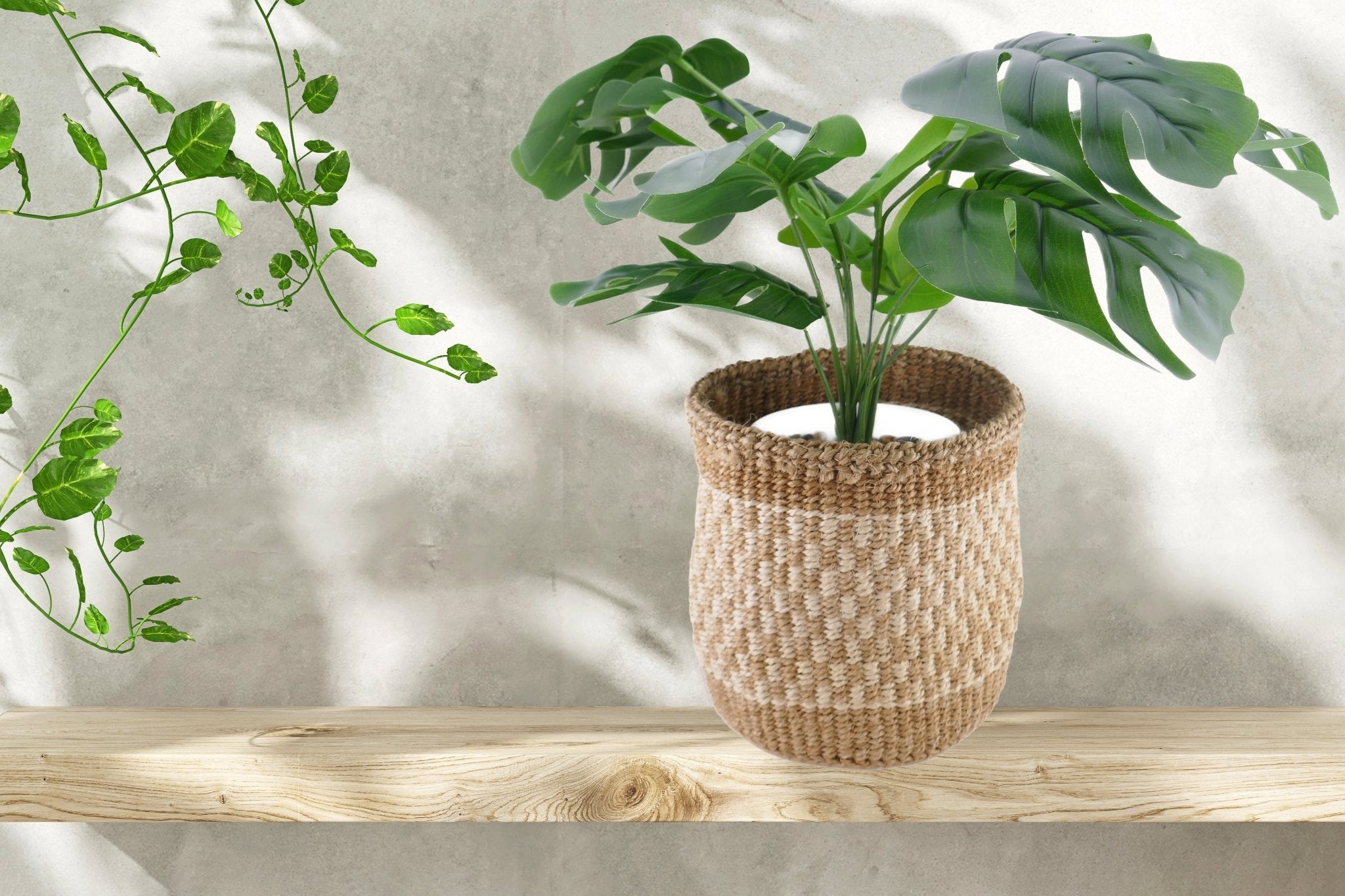 African Plant / Storage Basket / Kiondo Woven Sisal Planter / 23 cm / 9 inch wide / Naturals and browns - FriendlyTradingCo