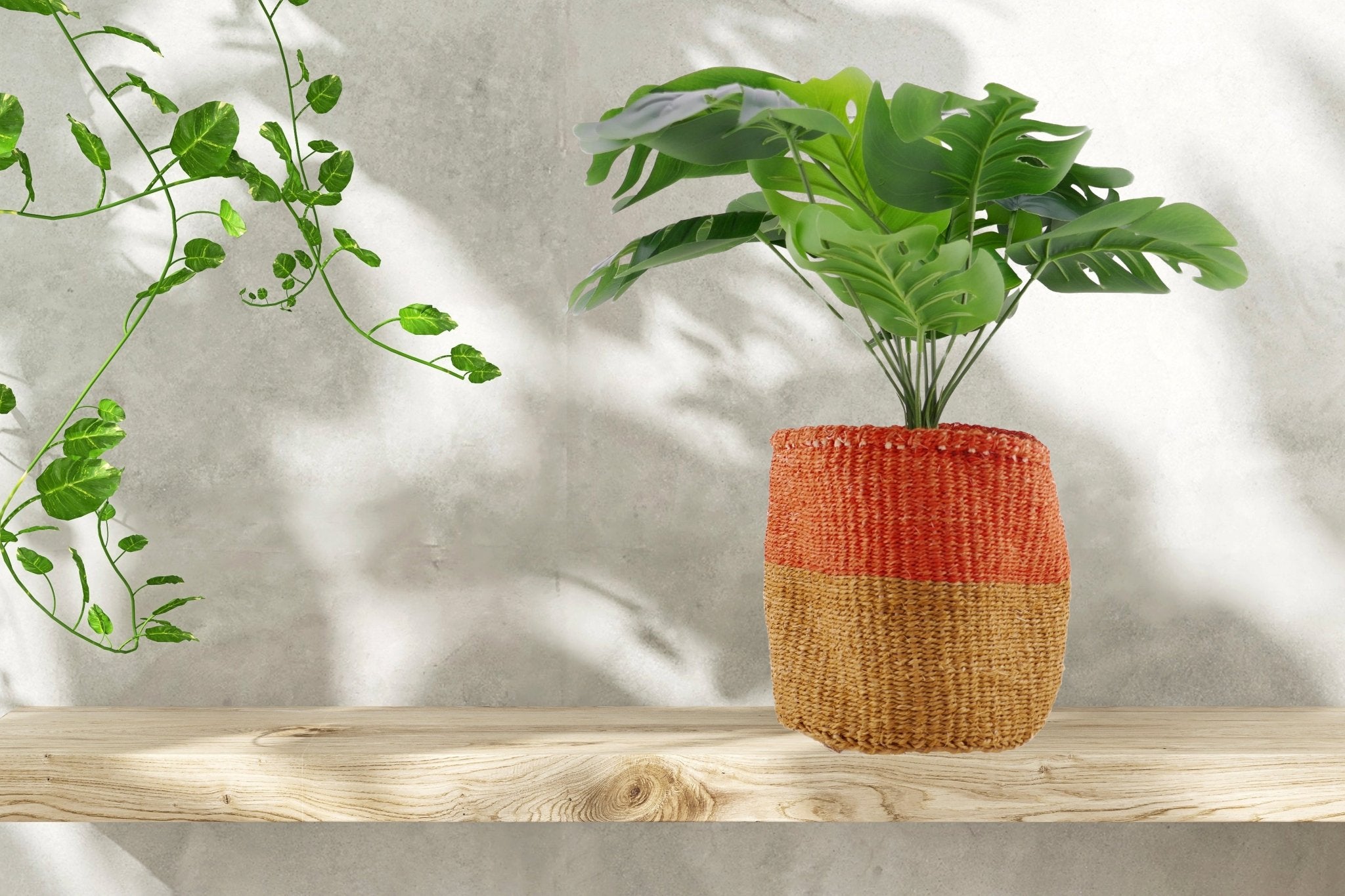 African Plant / Storage Basket / Kiondo Woven Sisal Planter / 23 cm / 9 inch wide / Orange & naturals - FriendlyTradingCo