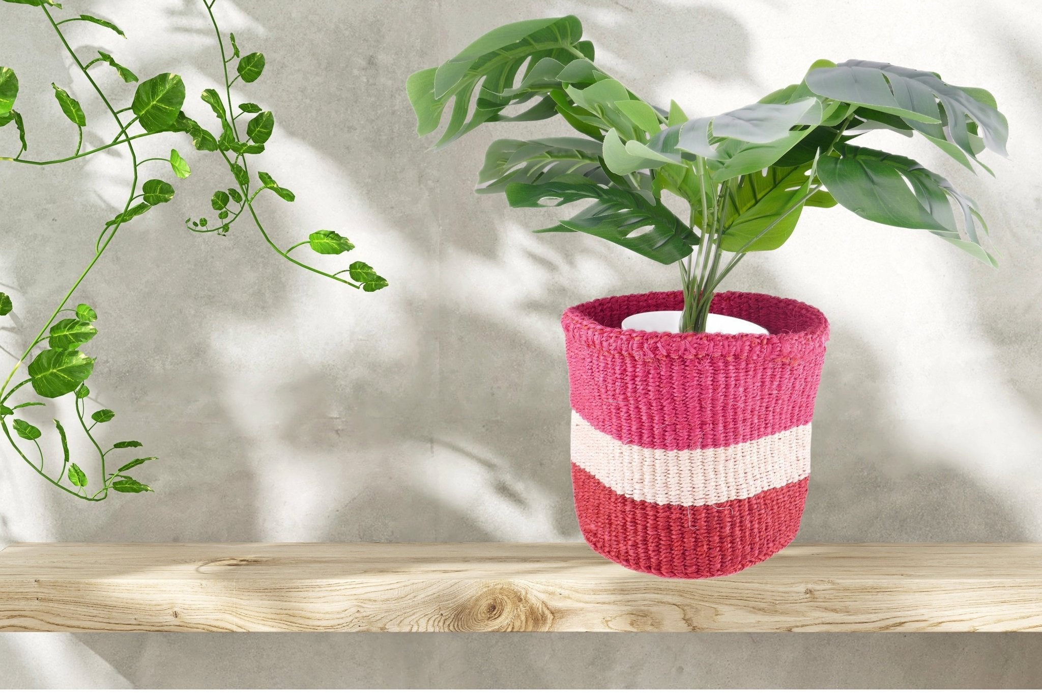 African Plant / Storage Basket / Kiondo Woven Sisal Planter / 23 cm / 9 inch wide / Pinks and reds - FriendlyTradingCo