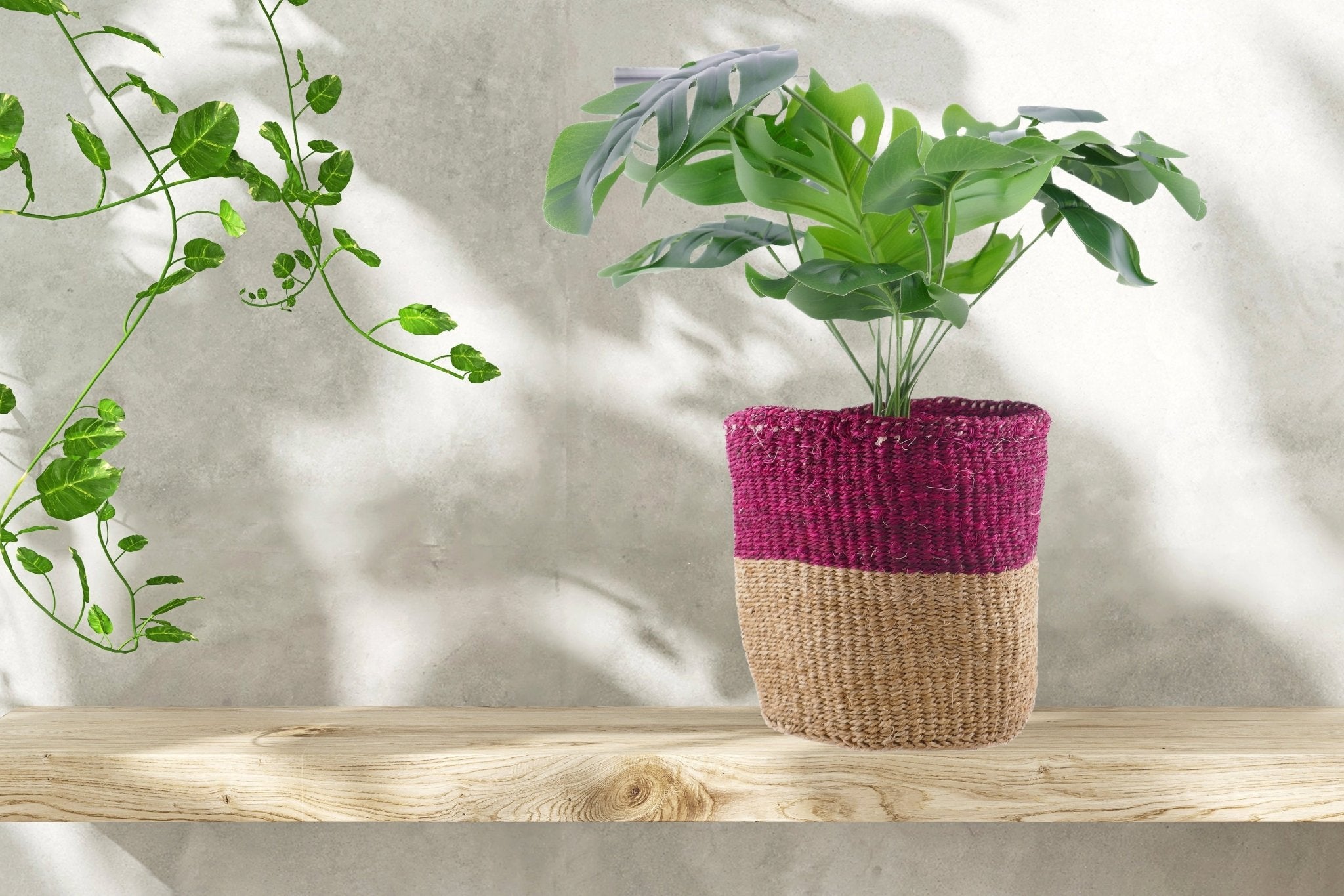 African Plant / Storage Basket / Kiondo Woven Sisal Planter / 23 cm / 9 inch wide / Purple naturals - FriendlyTradingCo
