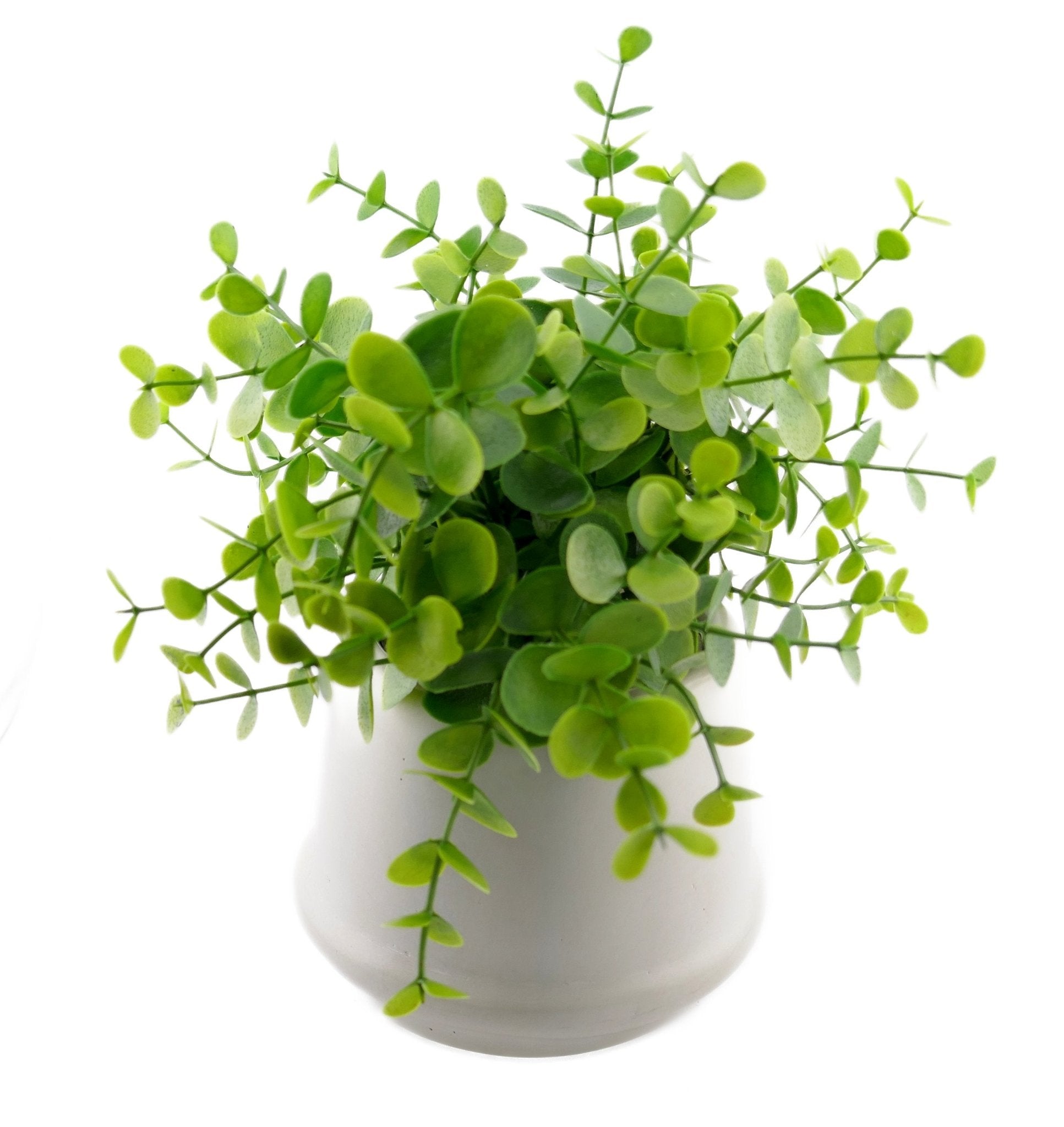 Conical Stone Planter hand made 10cm with Storycard - FriendlyTradingCo