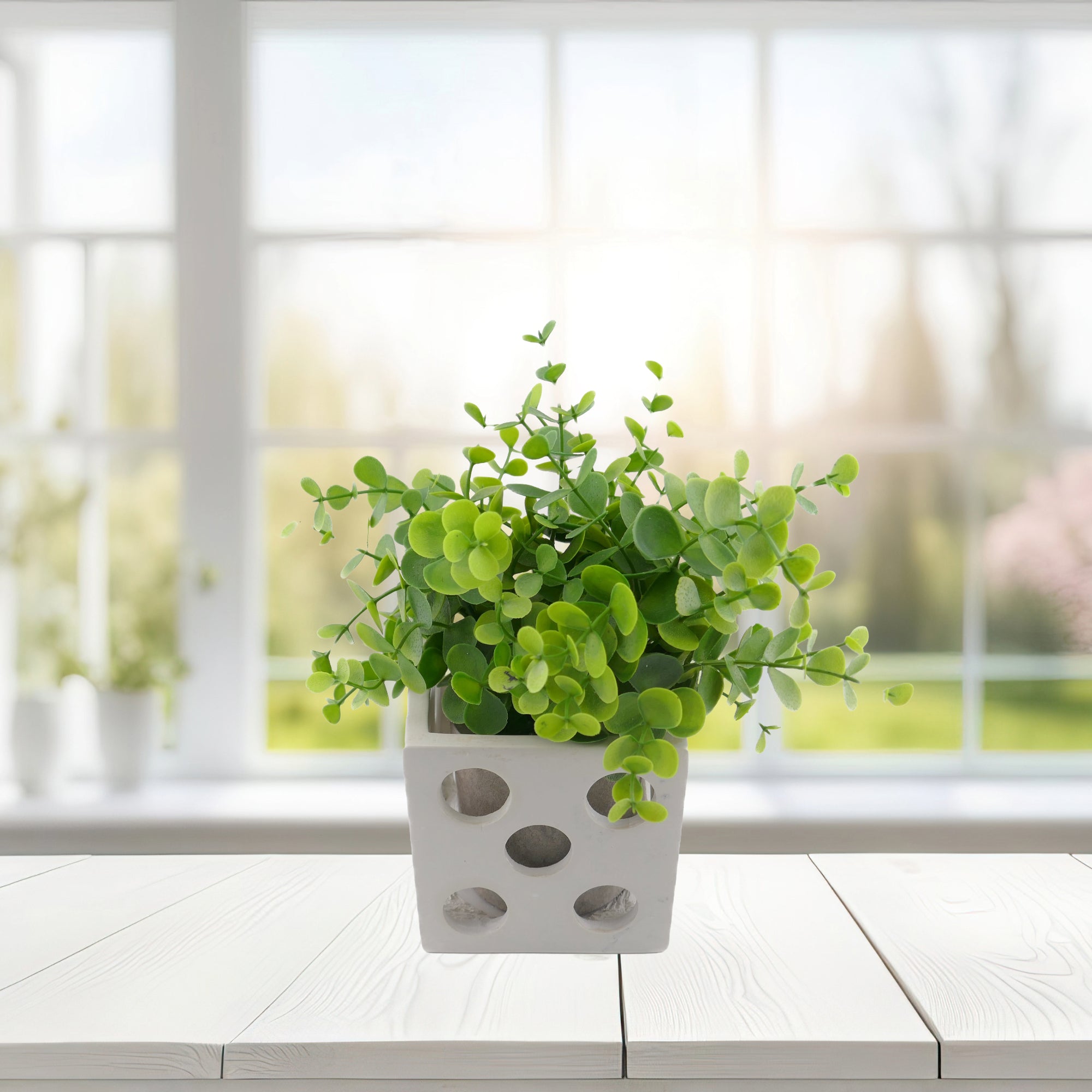 Cube Stone Planter hand made 10cm with Storycard Decorated designs - FriendlyTradingCo
