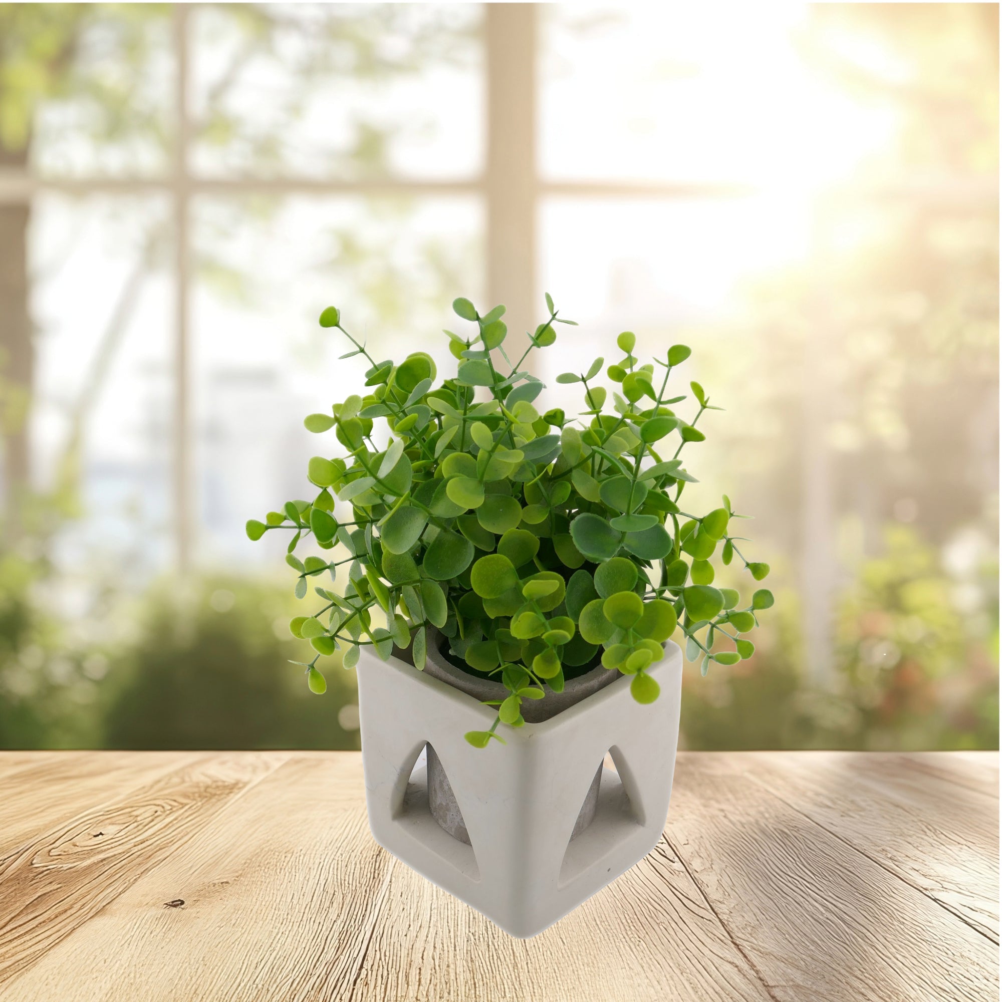 Cube Stone Planter hand made 10cm with Storycard Decorated designs - FriendlyTradingCo