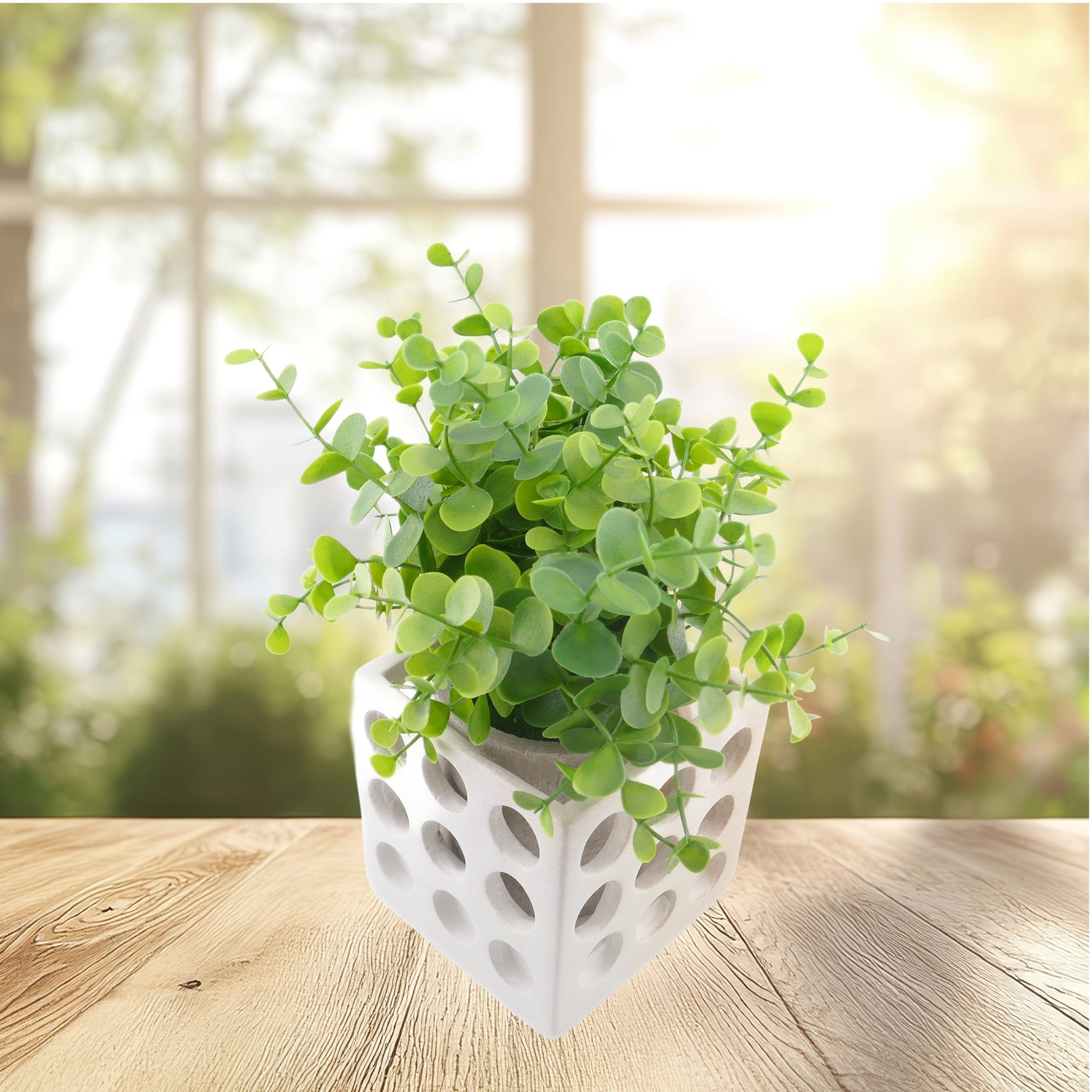 Cube Stone Planter hand made 10cm with Storycard Decorated designs - FriendlyTradingCo