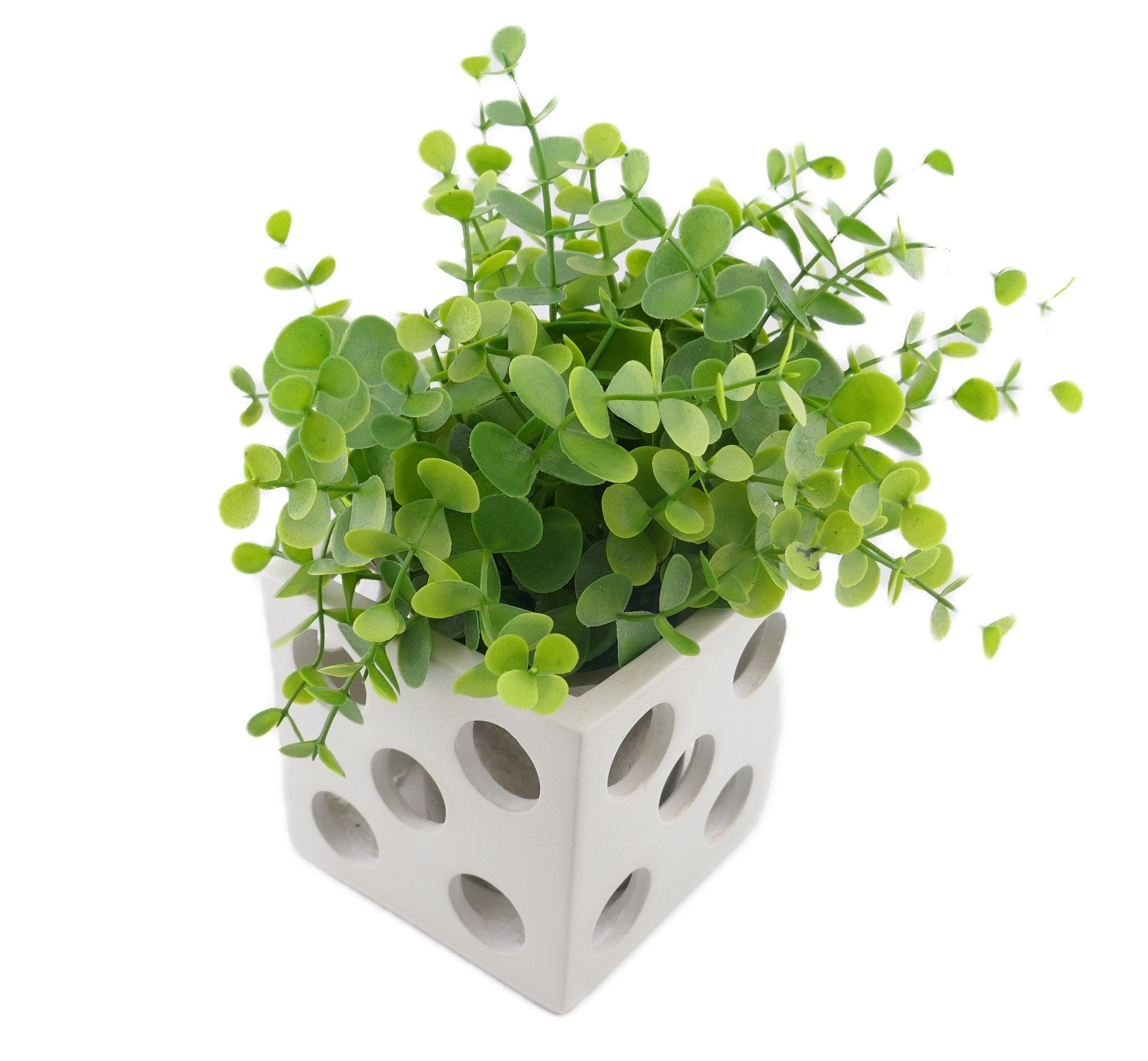 Cube Stone Planter hand made 10cm with Storycard Decorated designs - FriendlyTradingCo