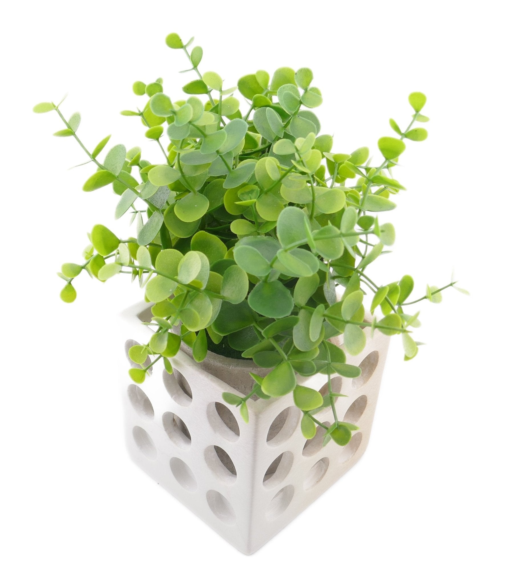 Cube Stone Planter hand made 10cm with Storycard Decorated designs - FriendlyTradingCo