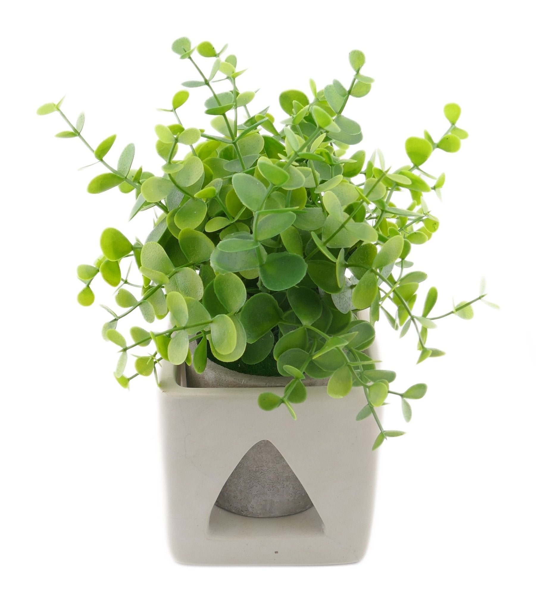 Cube Stone Planter hand made 10cm with Storycard Decorated designs - FriendlyTradingCo