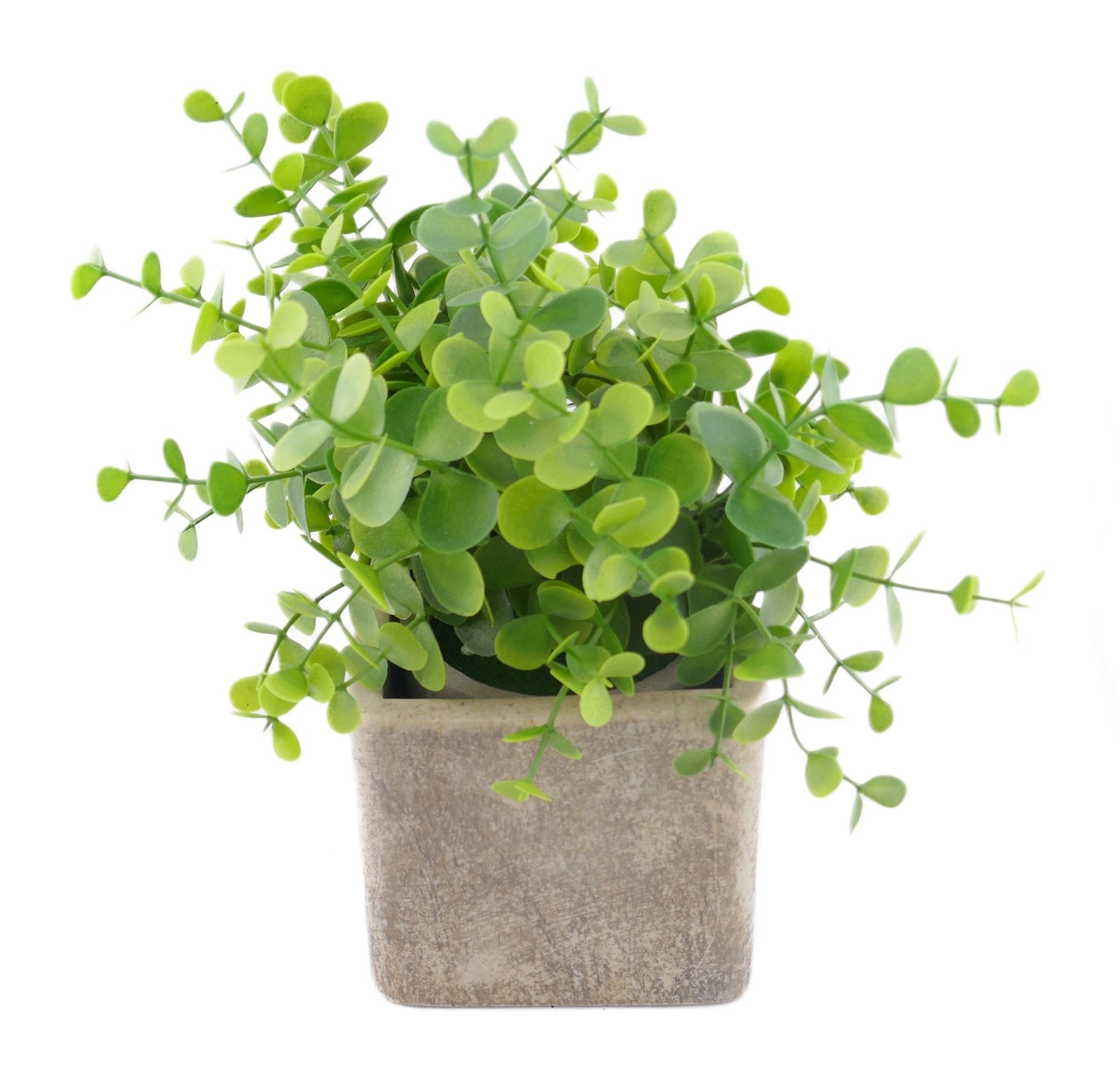 Cube Stone Planter hand made 10cm with Storycard many colours - FriendlyTradingCo