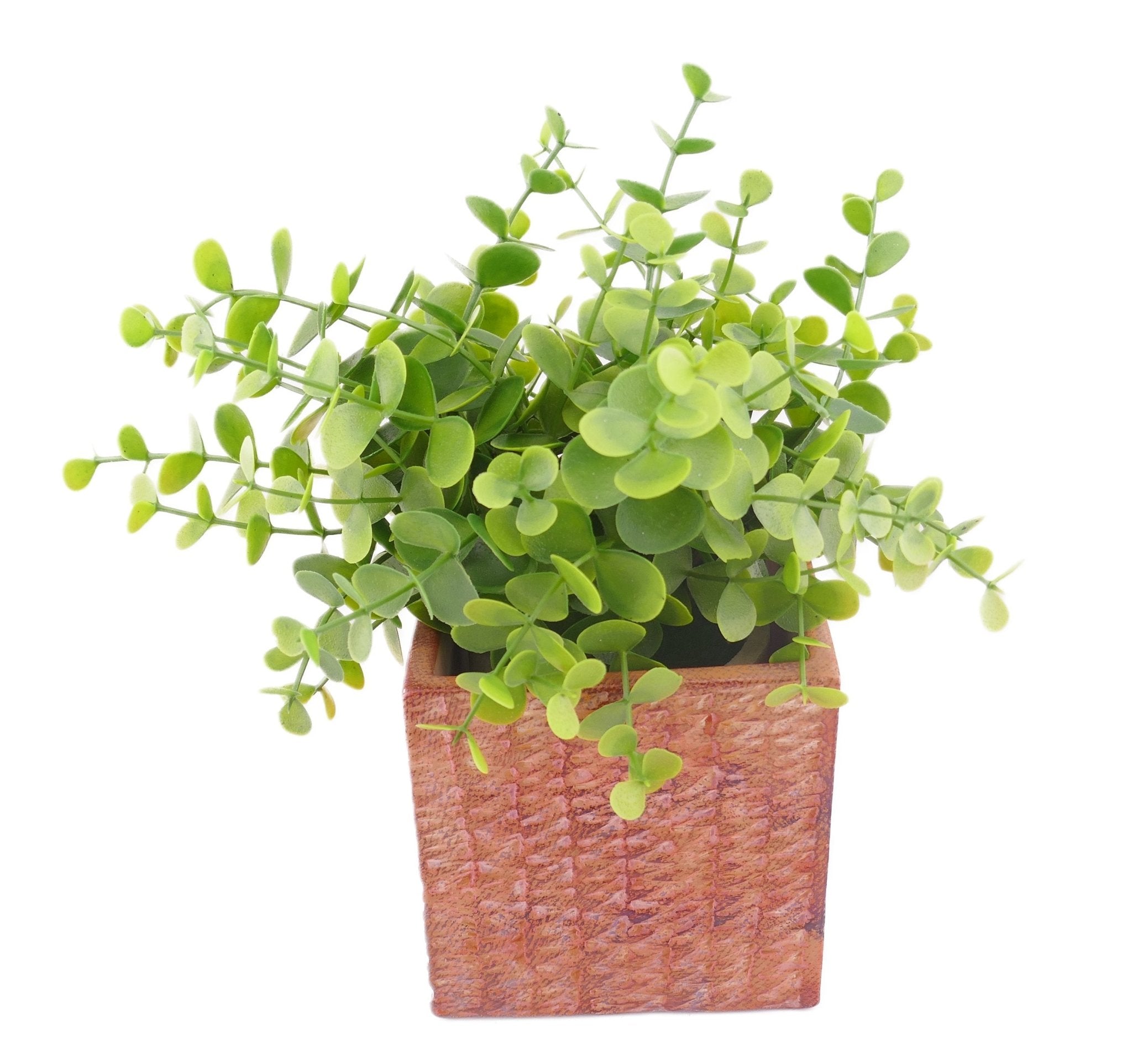 Cube Stone Planter hand made 10cm with Storycard many colours - FriendlyTradingCo