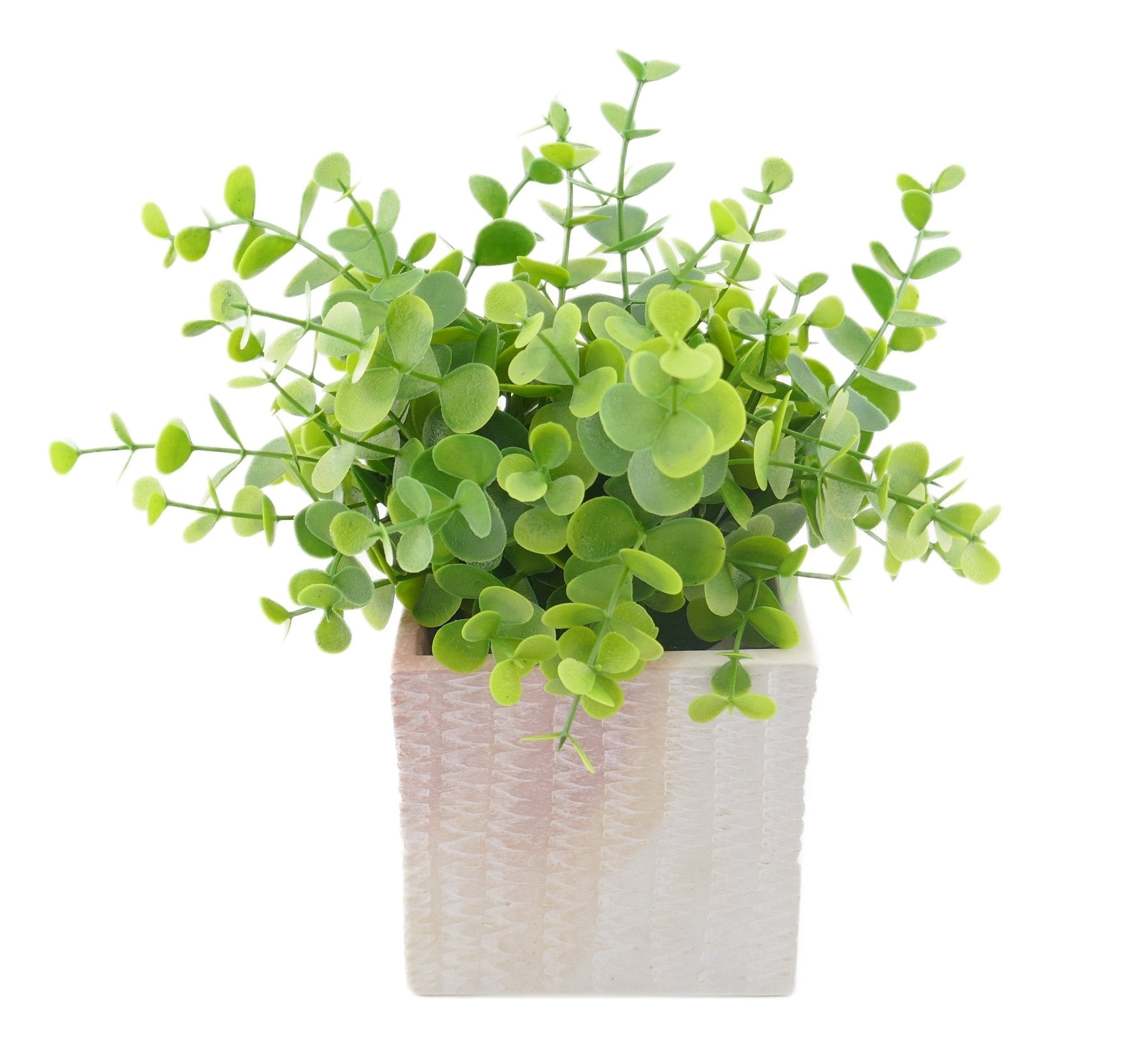 Cube Stone Planter hand made 10cm with Storycard many colours - FriendlyTradingCo