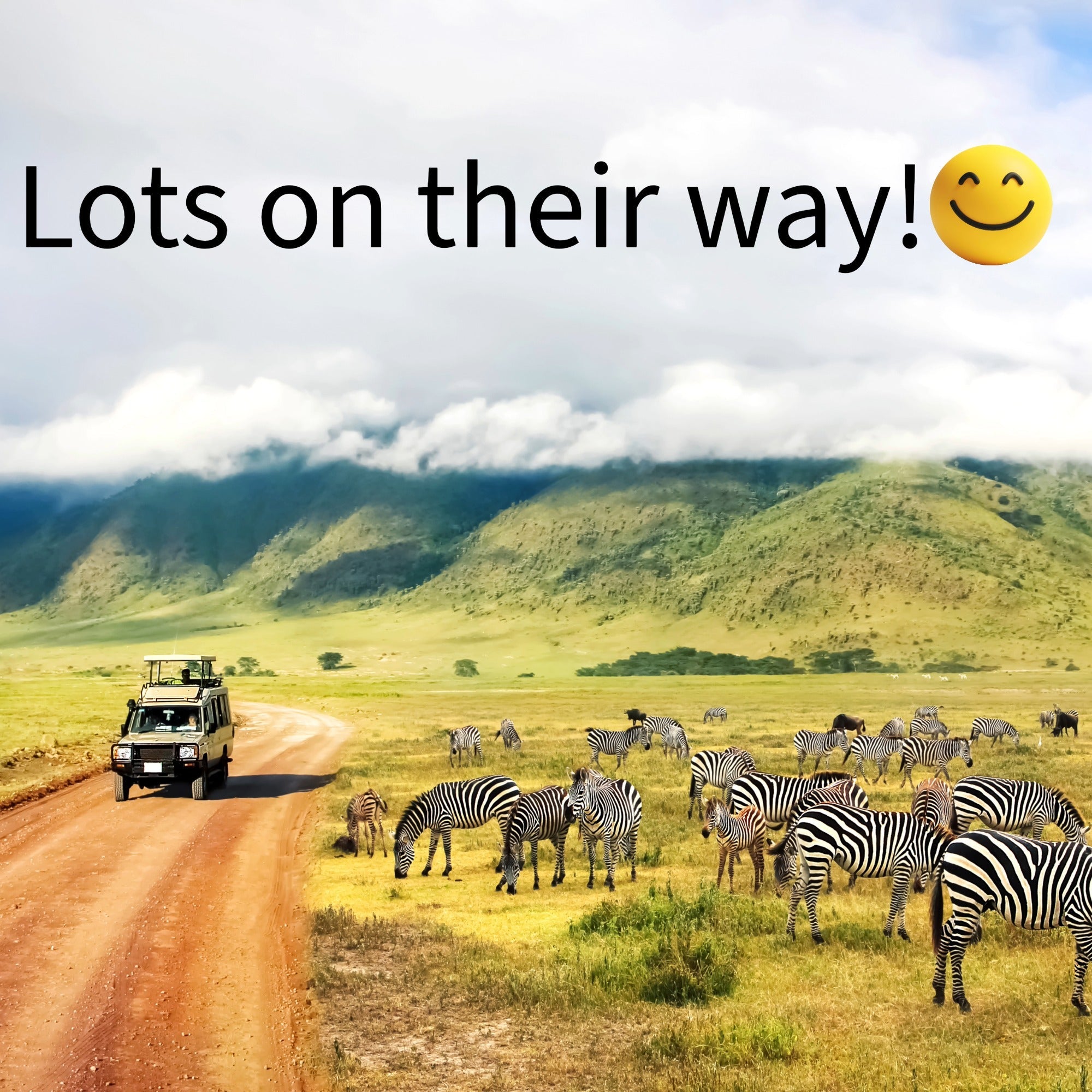 Lots of new items on their way - will be here soon! - FriendlyTradingCo