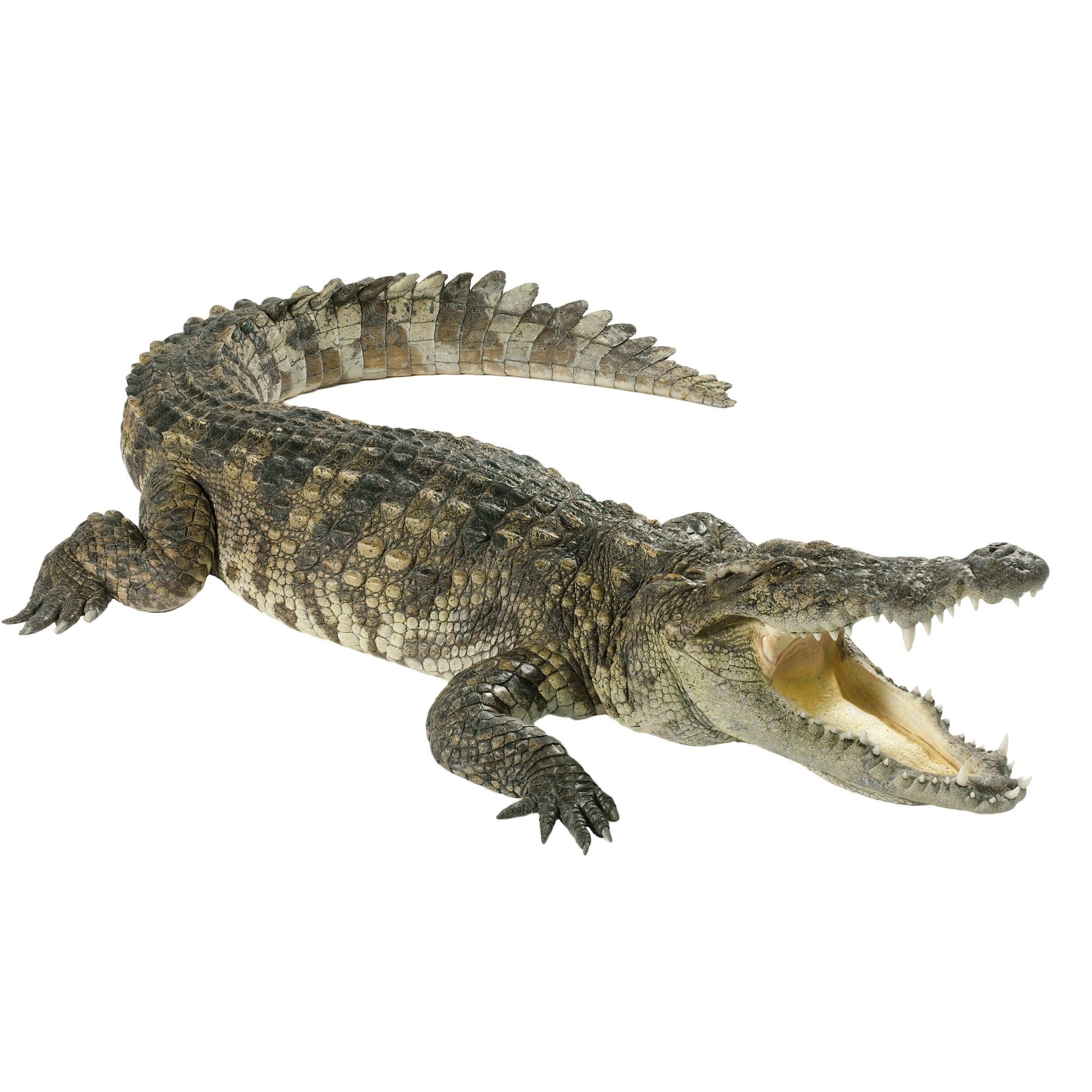 Mini stone Crocodiles // Handmade African Alligators // Healing Animal Totem // 11 cm handcrafted +storycard - FriendlyTradingCo