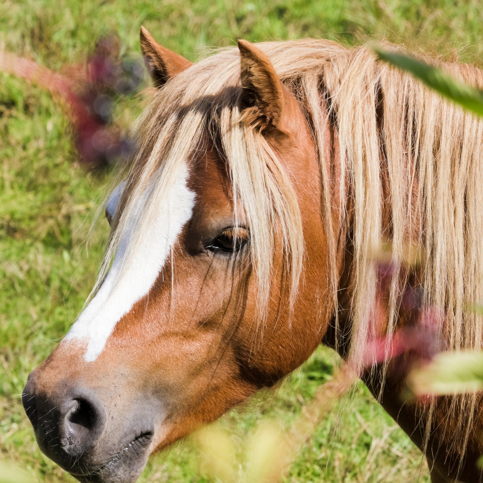 Mini stone Pony // Handmade Pony Keepsake // Healing Animal Totem // 8 x 6 cm handcrafted + storycard - FriendlyTradingCo