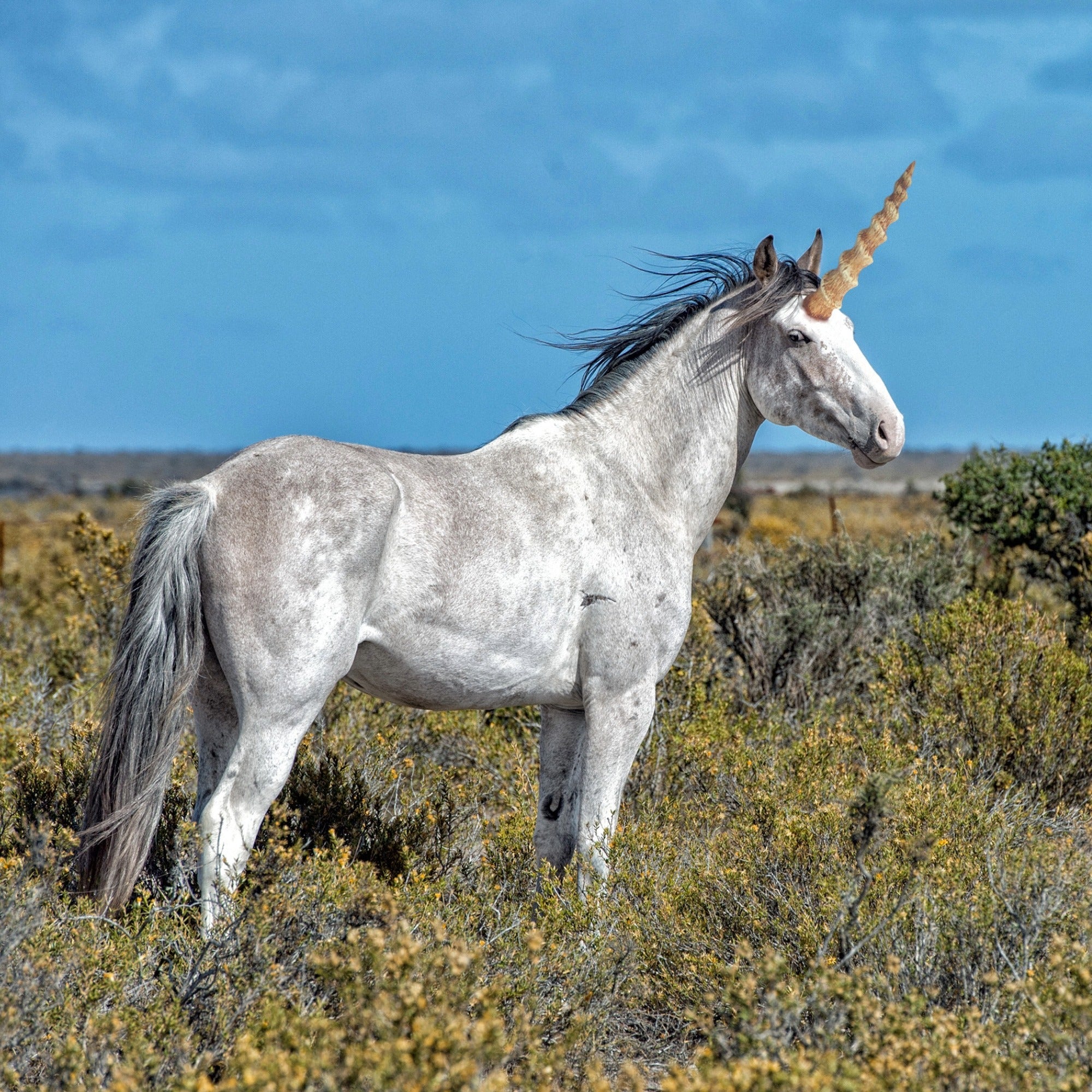 Mini stone Unicorn // Handmade Keepsake // Healing Animal Totem // 8 x 5 cm handcrafted +storycard - FriendlyTradingCo