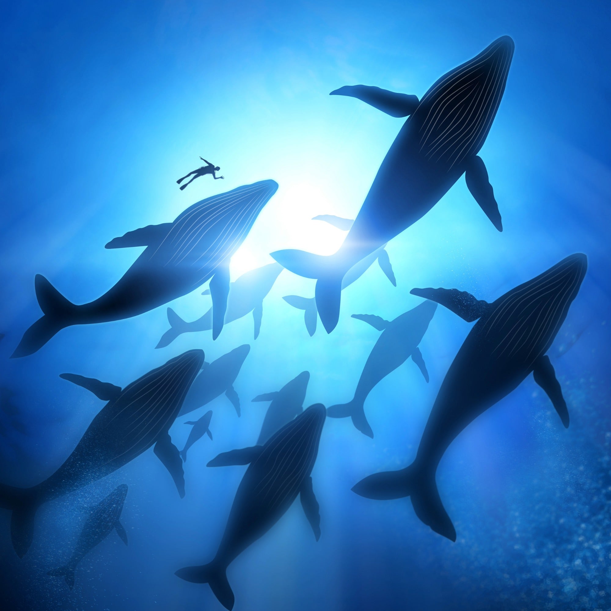 Mini stone Whale // Handmade Sea Creature Keepsake // Healing Animal Totem // 8 x 5 cm handcrafted +storycard - FriendlyTradingCo