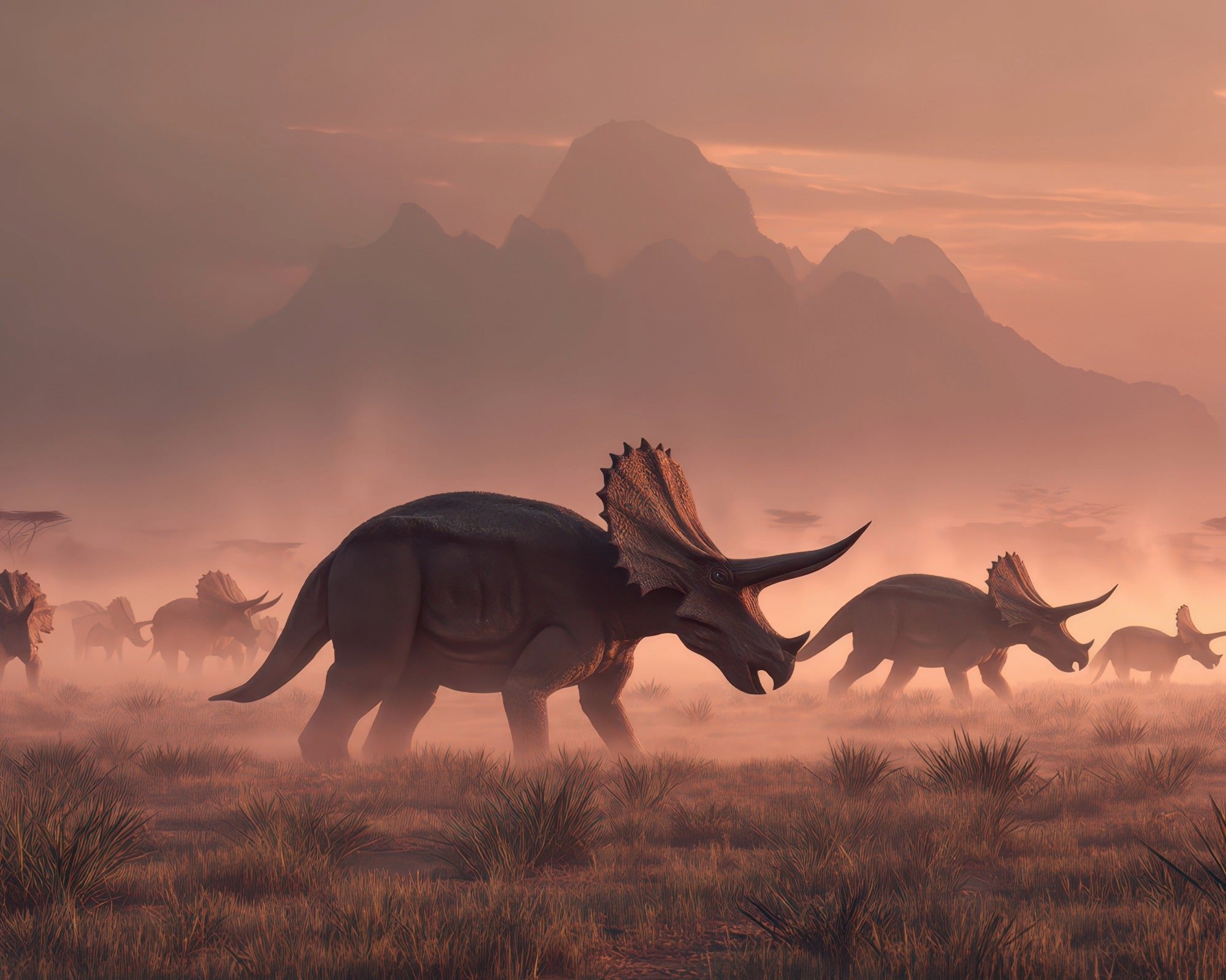 Stone Triceratops Dinosaur // in Soapstone 20cm or 10 cm // with Story - card - FriendlyTradingCo