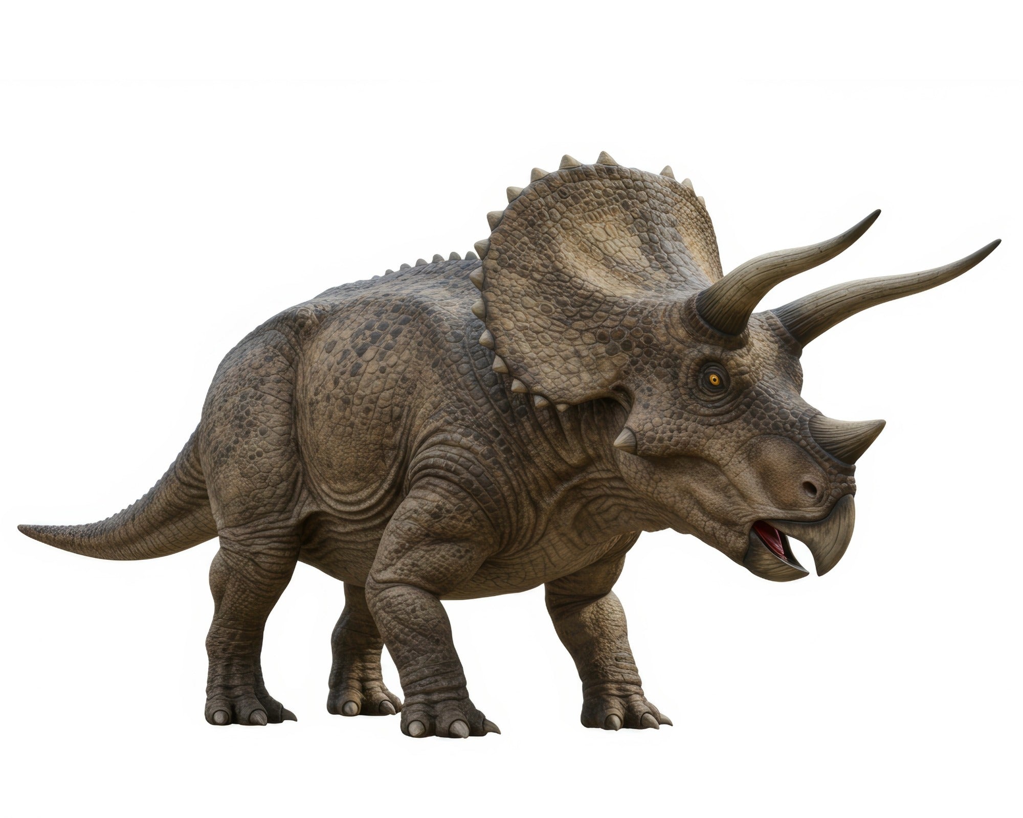 Stone Triceratops Dinosaur // in Soapstone 20cm or 10 cm // with Story - card - FriendlyTradingCo